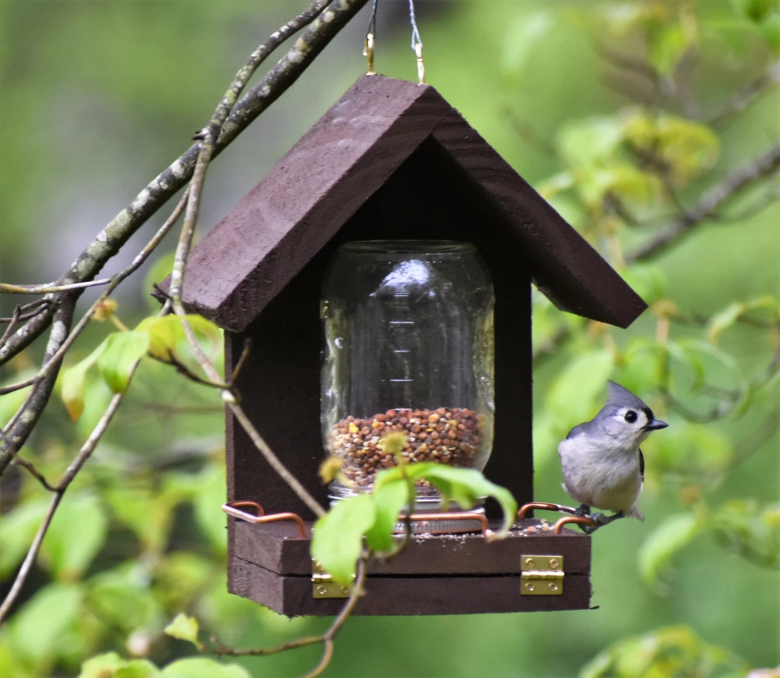 Handcrafted Bird Feeder